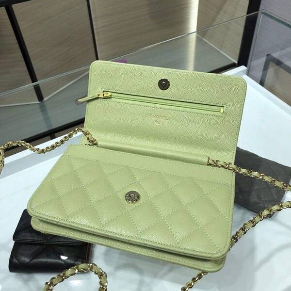 最高等級chanel挎包chanel 2020秋冬最新款woc 魚子醬牛皮 19cm AP1794Yxxqb10943