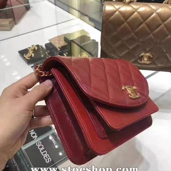 高仿精品批發chanel早秋最新款結合方胖子、風琴包、馬鞍包於一體的口蓋包chb12333