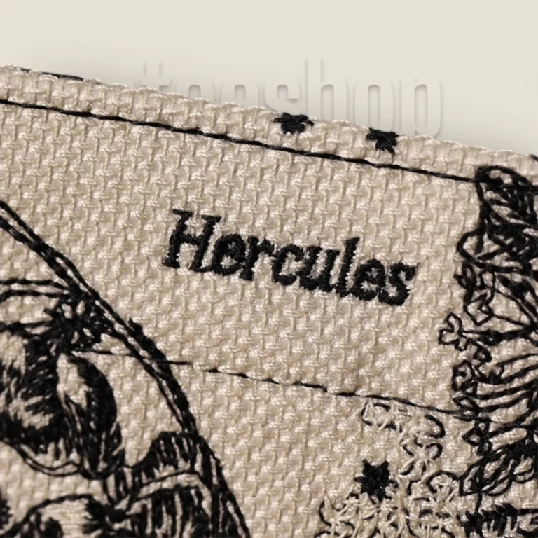 臺灣頂級高仿迪奧 Book Tote系列：Zodiac茹伊刺繡手袋S，時尚必備-貨號: M1265ZRHZ-M941