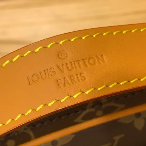 Louis Vuitton Nil Monogram Archive 時尚小型包包