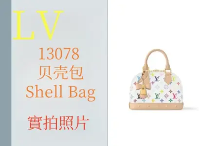 高仿包包·高仿LV Shell Bag 贝壳包-實拍介紹 高仿包包