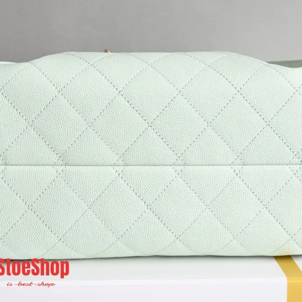 高仿香奈兒/Chanel 22 Bag 手提肩背包 淡綠色
