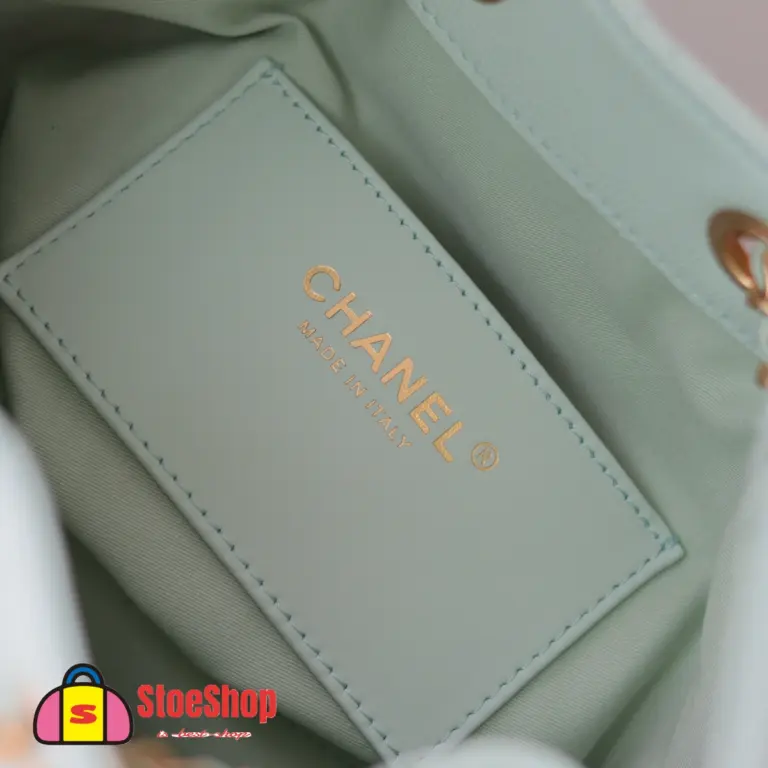 高仿香奈兒/CHANEL 25C Hobo 肩背包｜魚子醬小牛皮淺綠
